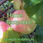 Очищение организма. Оздоровление.